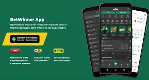 Explore Betwinner Your Ultimate Betting Experience 2000089394