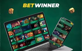 Explore Betwinner Your Ultimate Betting Experience 2000089394